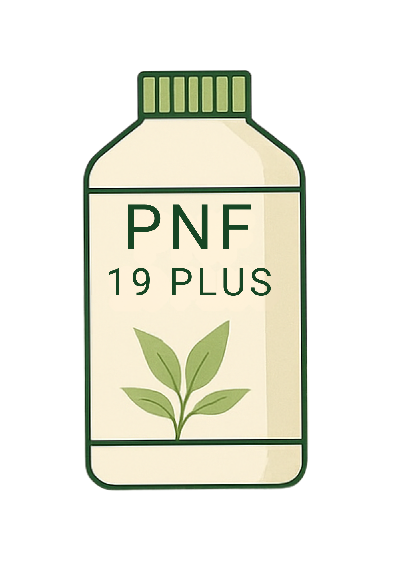 PNF 19 PLUS