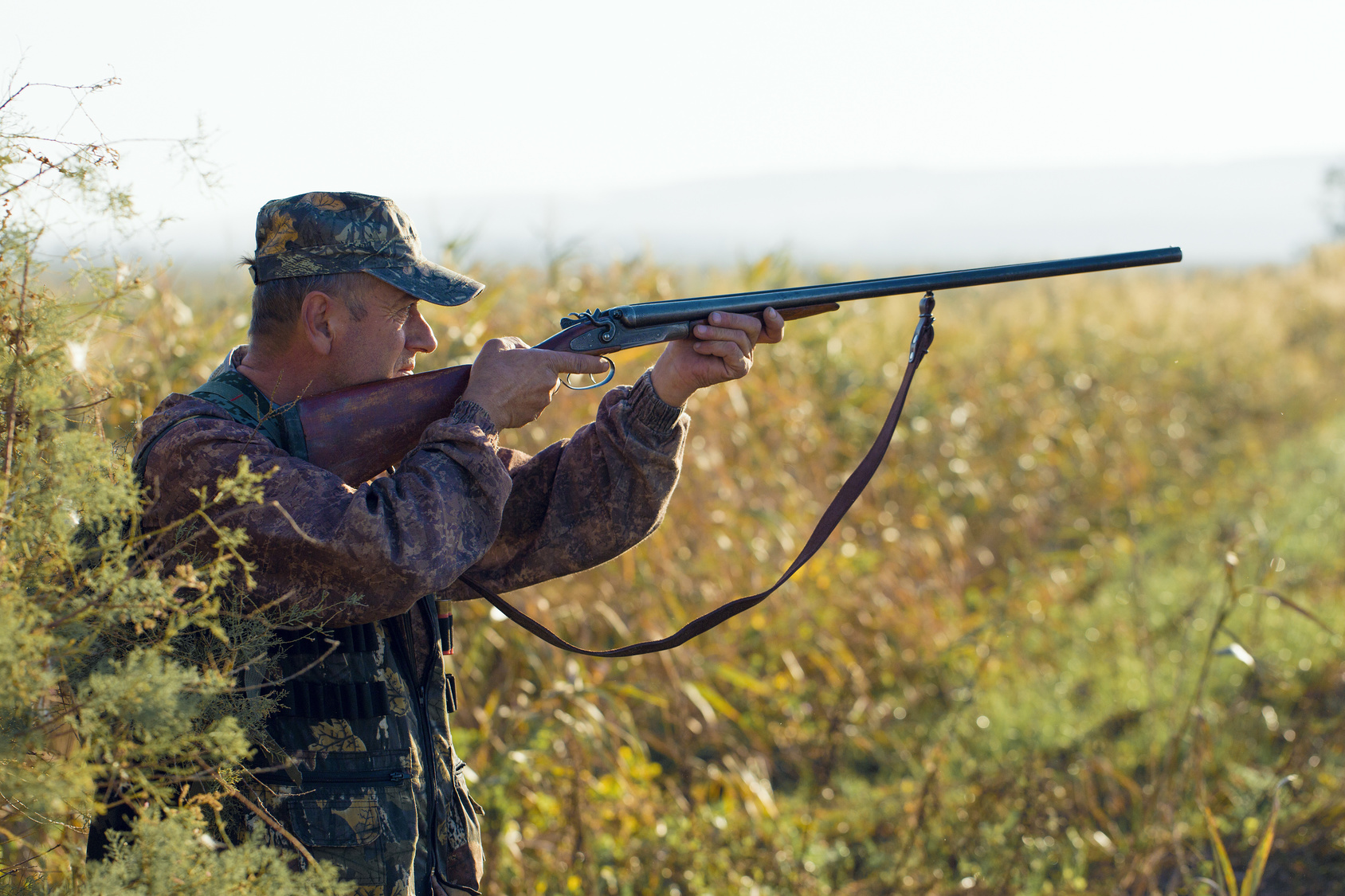 intervention des chasseurs